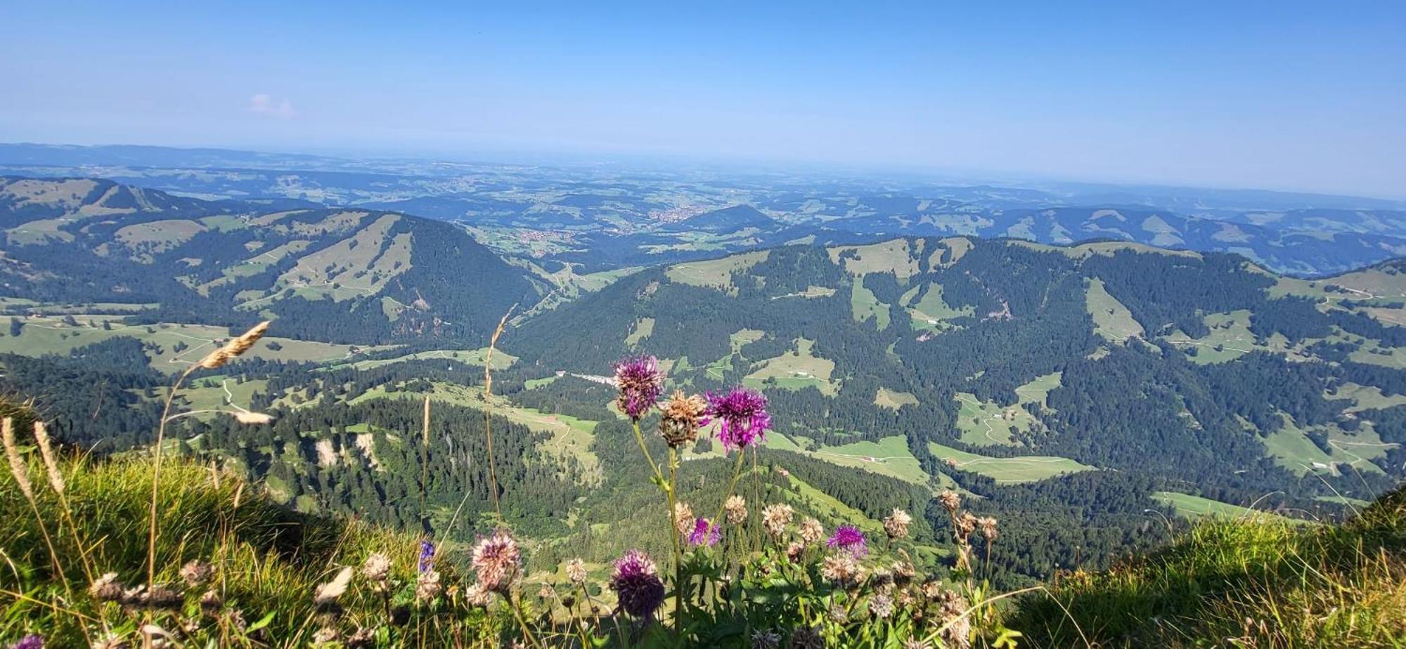 Fewo Allgaeustern Steibis Mit Wlan Sauna Kamin Und Oberstaufen Plus Card